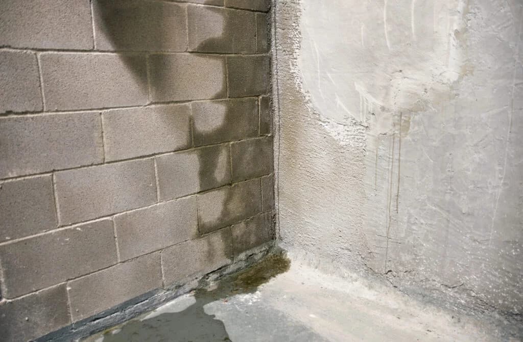 Angle de cave humide avec traces d'infiltrations et d'eau stagnante sur les murs en béton — traitement anti-humidité nécessaire avant toute isolation thermique
